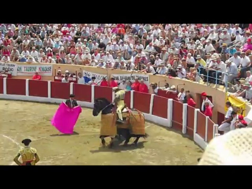 ceret 2013 les piques des pahla