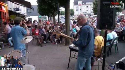 ze monkeys garçon la note par Studio lecman