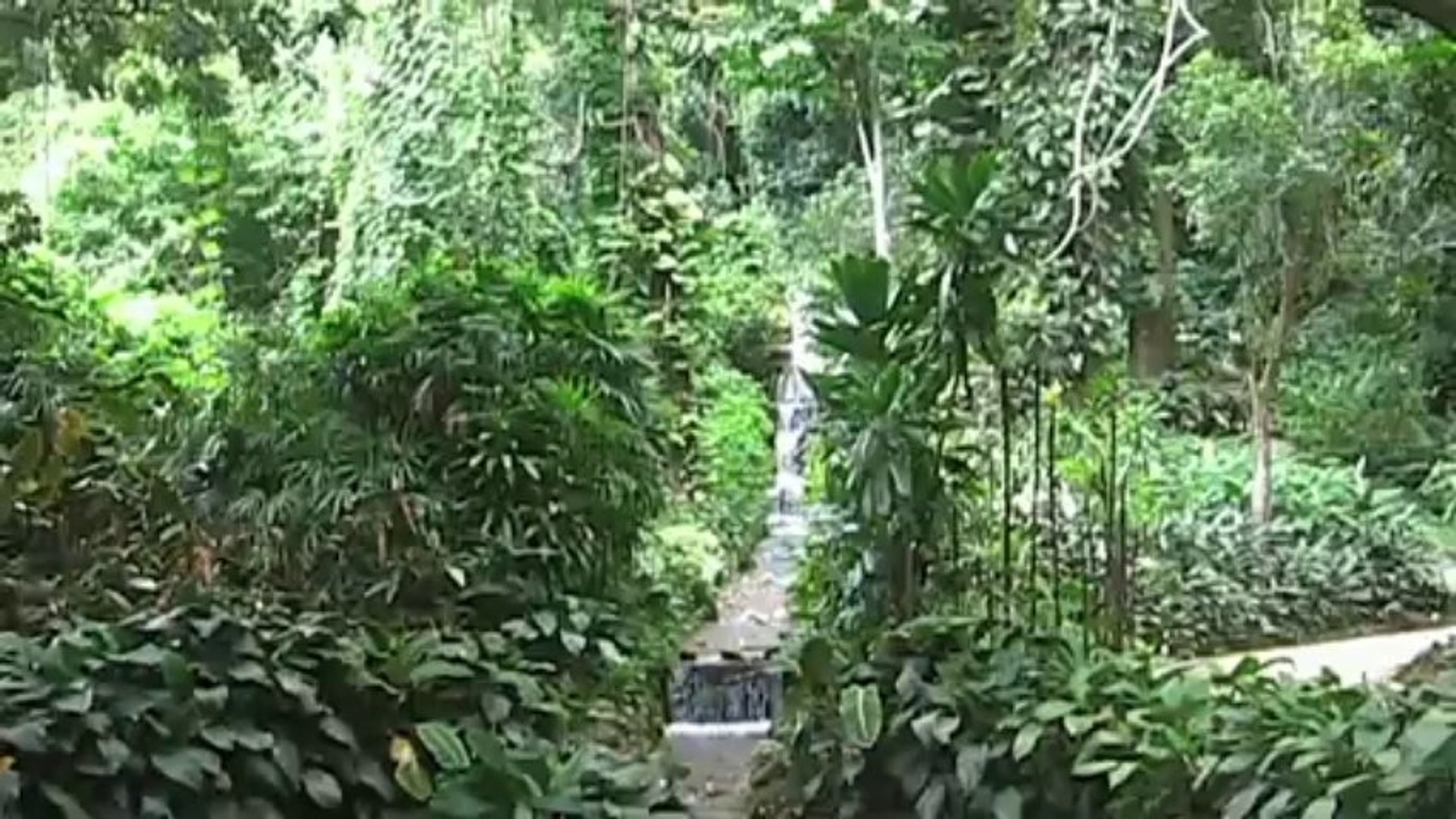 Travel Trailer Video