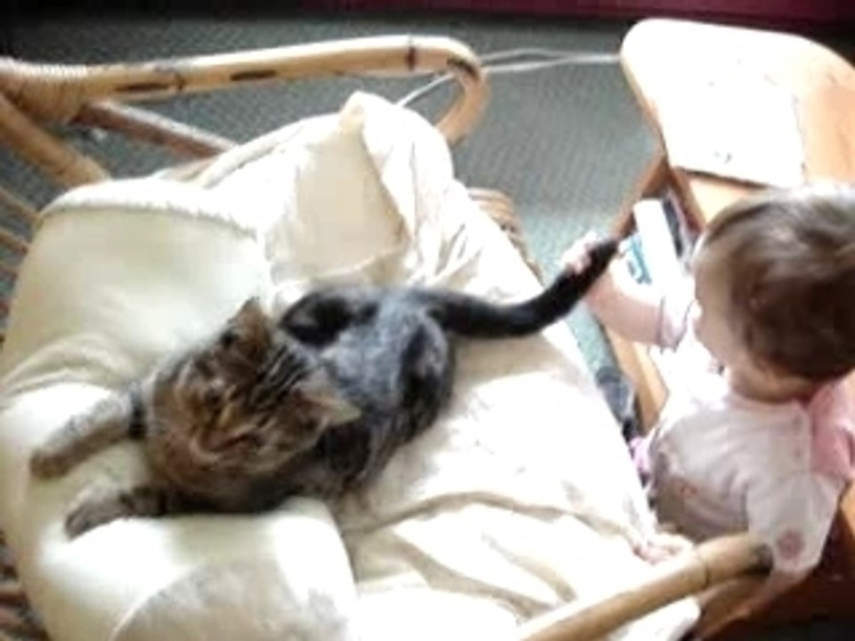 Tirer la queue des chats
