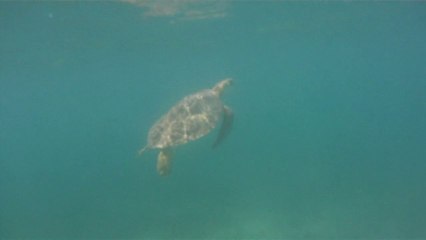 Make Money With A Blog and Travel the world