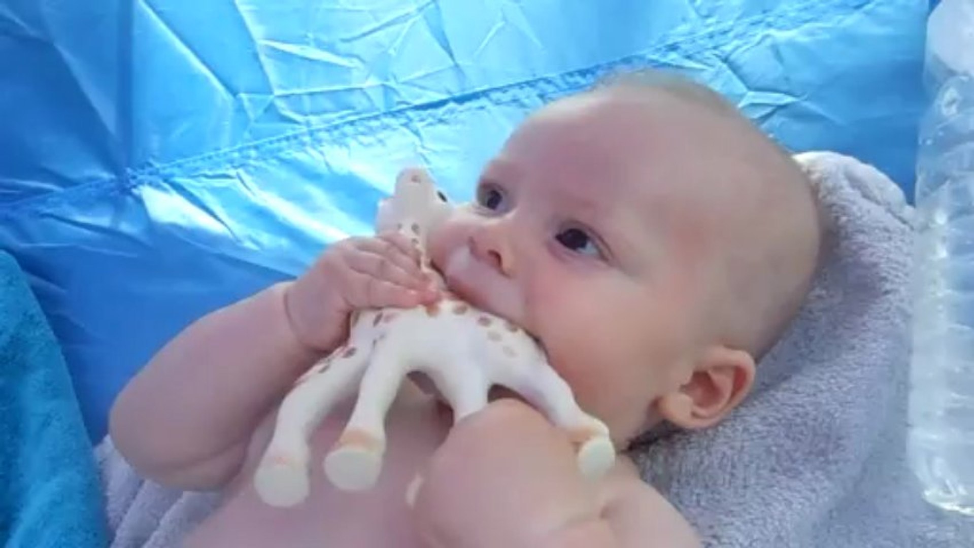 ⁣harmonica avec sophie la giraffe