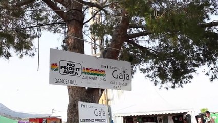 No Profit @ Rototom Sunsplash 2012