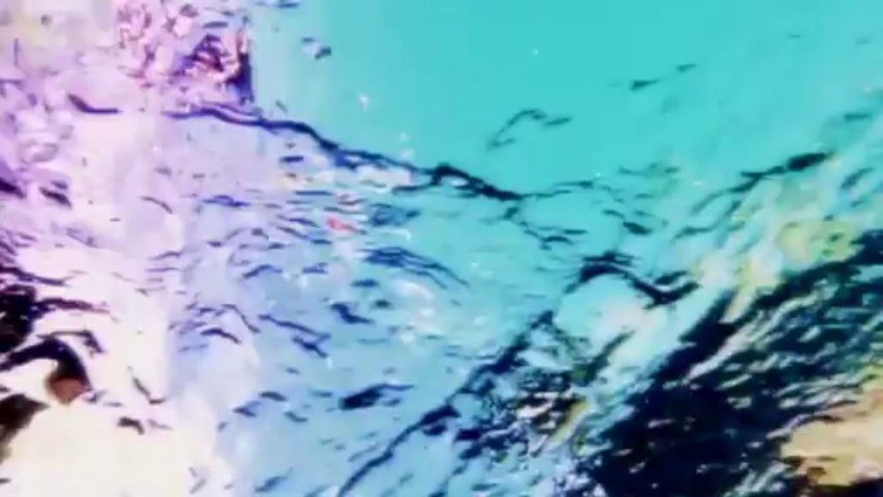 Moby - A Case For Shame (with Cold Specks) - Official video