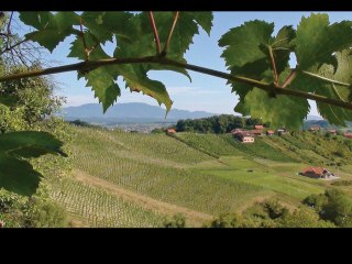 Đani Stipaničev - Suza za zagorske brege