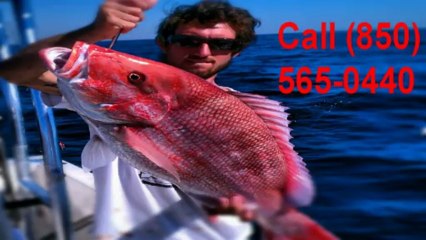 Deep Sea Fishing Pensacola Beach