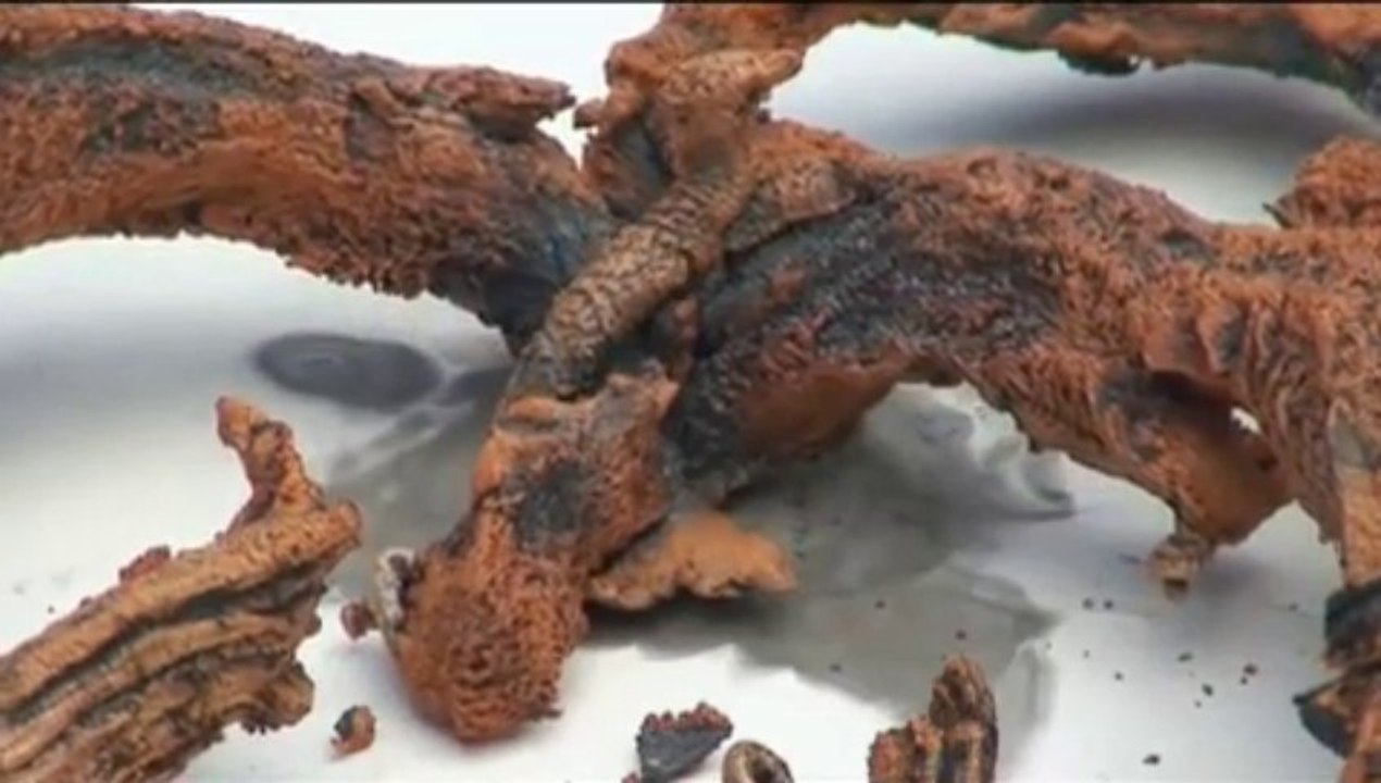 Brûler du mercure, ça donne quoi ?