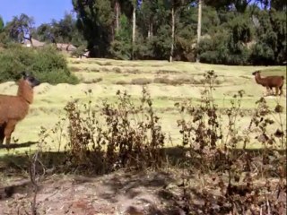 Los Templos Incas