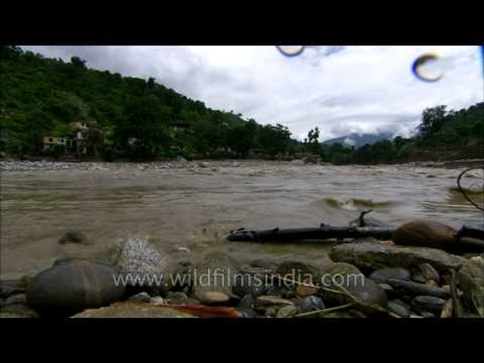 Tales of a horrific disaster: Aftermath of Uttarakhand Floods