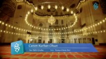 Sur İlahi Grubu - Canım Kurban Olsun