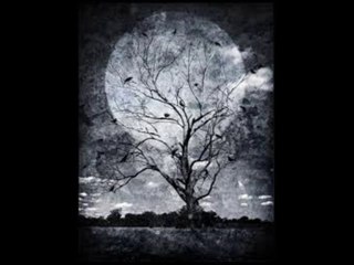 MUHTEŞEM BİR DUET VE BESTE