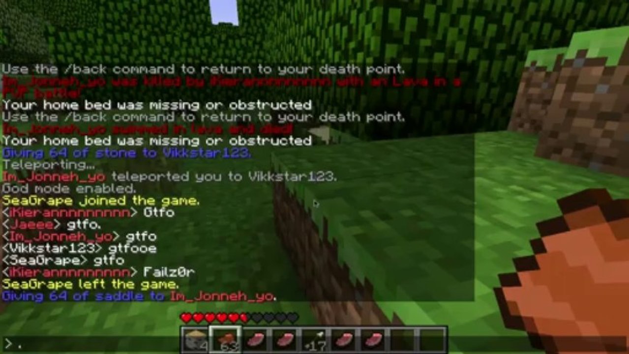 Minecraft Videos. Yes or No?