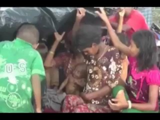 دموع الروهنجيا - Rohingya Tears