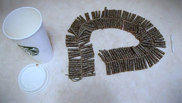 Faire péter des pétards dans une bibliothèque