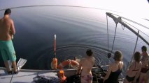 Après un grand ménage et le rangement du bateau, l'équipage de Tara se jette dans une eau à plus de 20° pour se rafraîchir un peu © France Télévisions