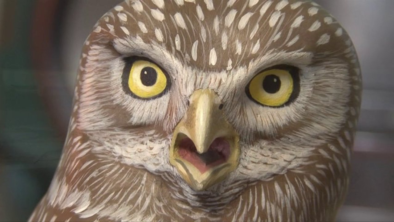 AGORA L'EMISSION 168 : LES ELEVES A LA RENCONTRE DES "OVNI" A SAINT-LAURENT-BLANGY