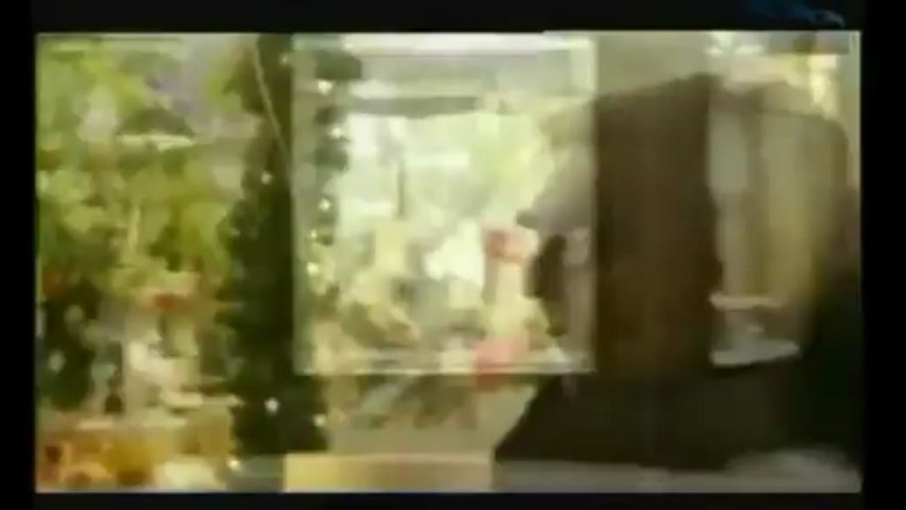 ΠΑΣΧΑΛΗΣ ΤΕΡΖΗΣ - Ο ΔΙΚΟΣ ΜΟΥ Ο ΔΡΟΜΟΣ - YouTube