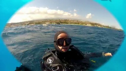 tortue a saint gilles