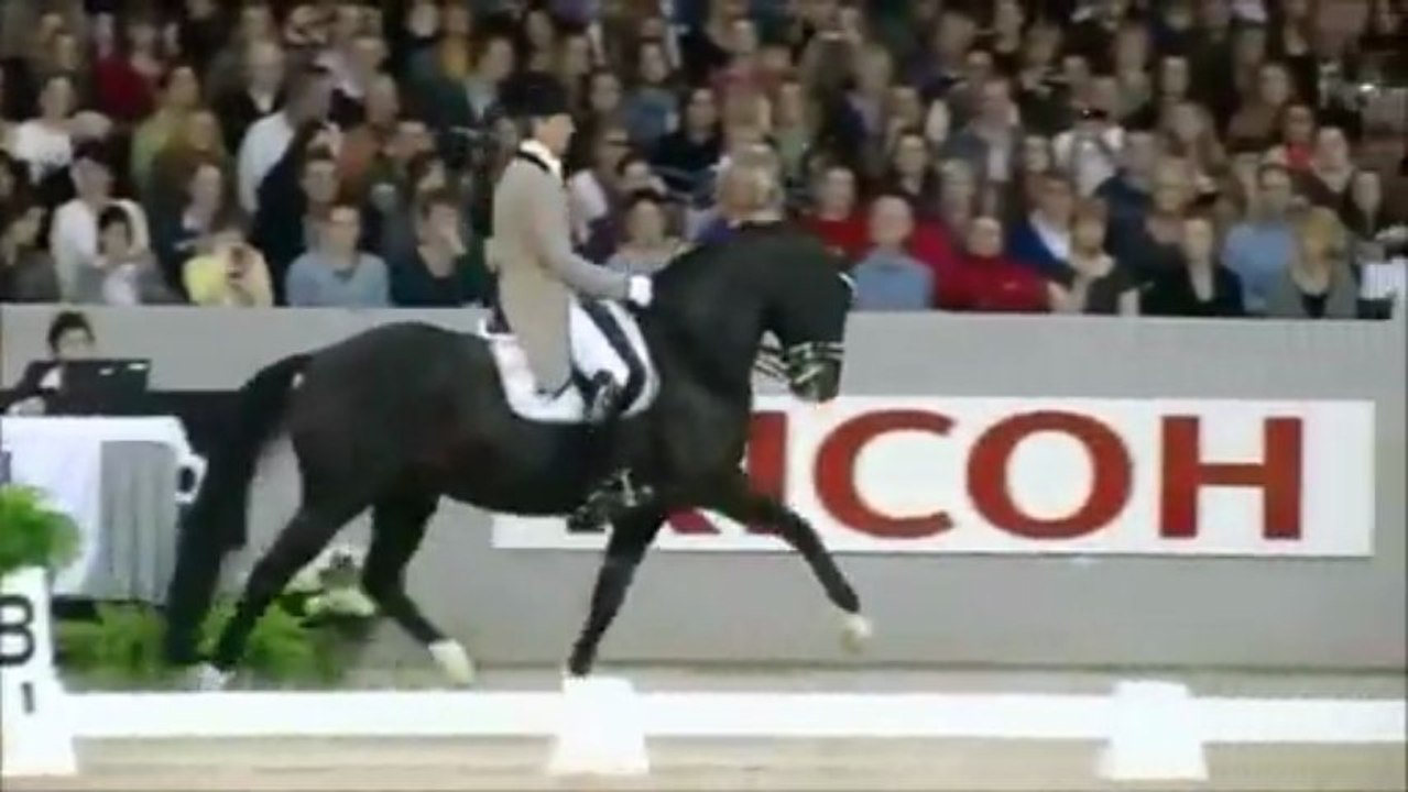 EQUITATION TA PASSION - BON ANNIVERSAIRE CELINE