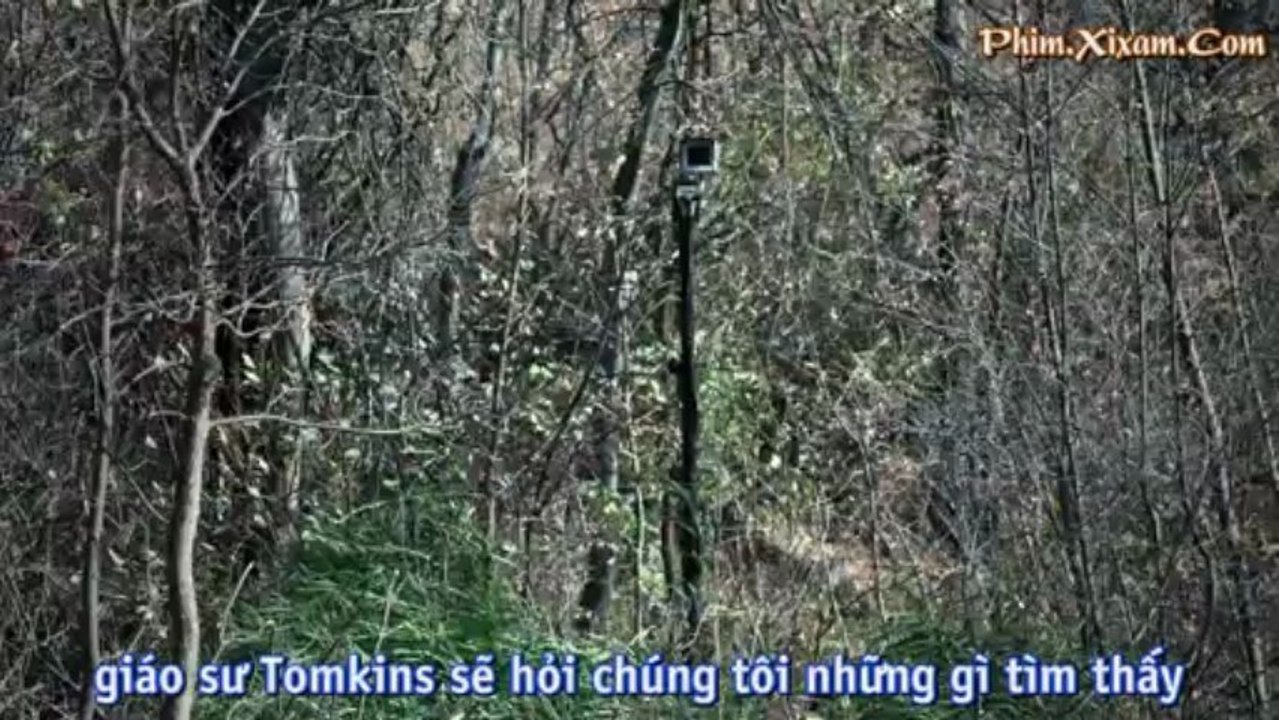 AcQuyTrenHoangDao_clip2