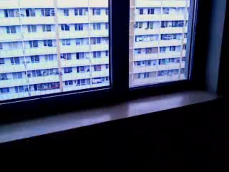 MOV00569