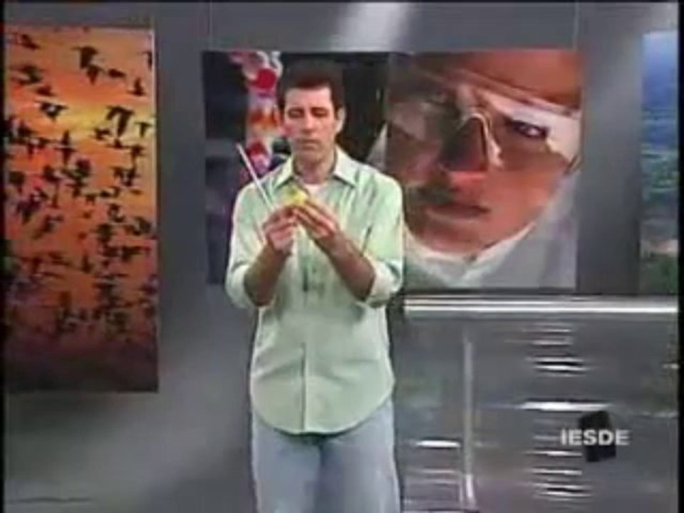 BIOLOGIA AULA 26 -- PLATELMINTOS E NEMATELMINTOS Parte 1 - YouTube