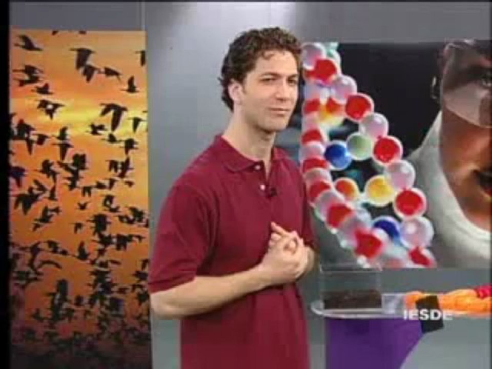 BIOLOGIA AULA 27 -- ANELÍDEOS Parte 1 - YouTube