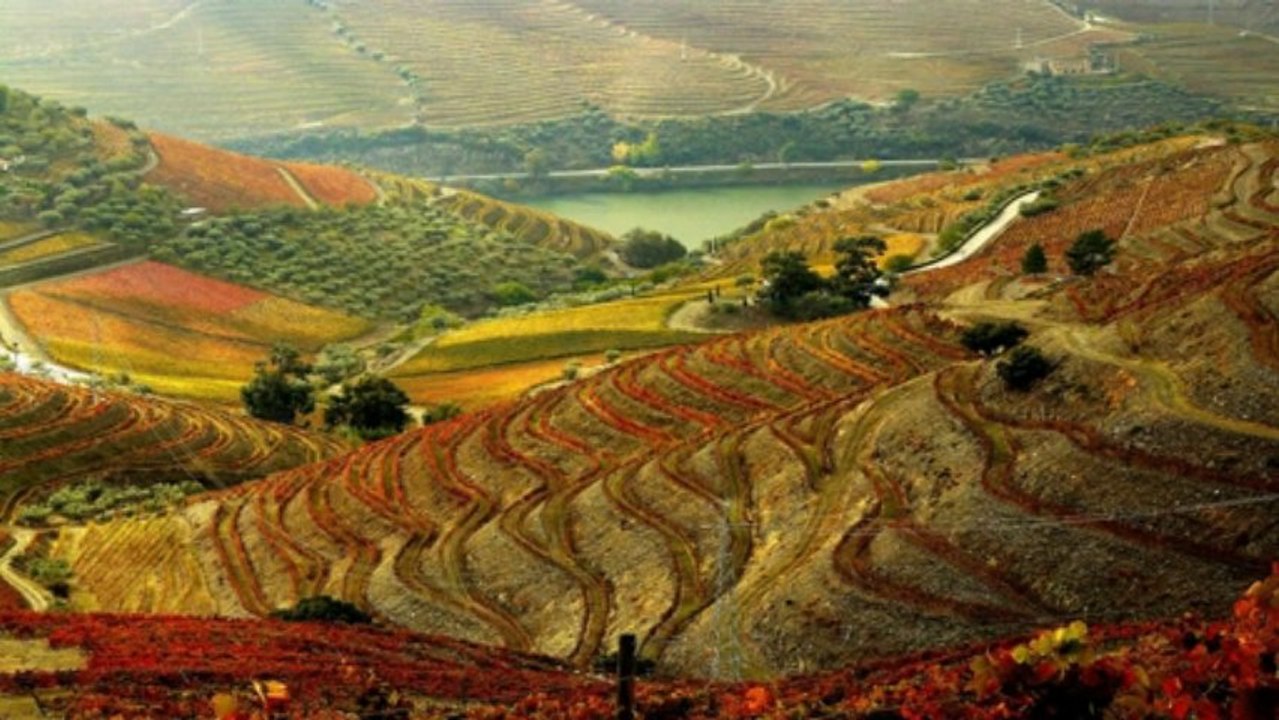 Quinta do Crasto (PP) [720p]
