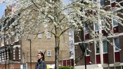 Stella McCartney Winter 2013 Campaign Teaser