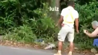 Sloth crossing the road