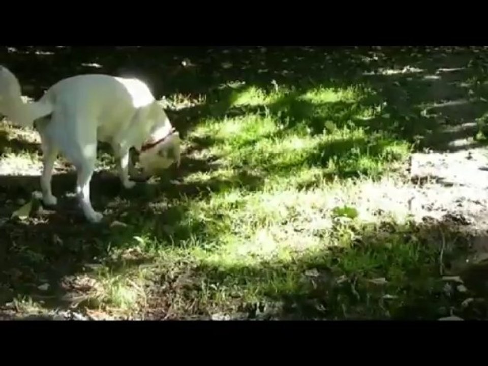 Sally2