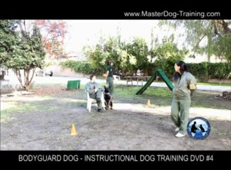 Bodyguard Dog Training - Instructional Dog Training DVD #4