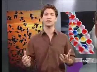 BIOLOGIA AULA 28 -- ARTRÓPODOS Parte 2 - YouTube