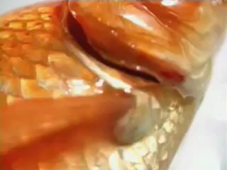 타짜바카라 ☱☴☵_V O S 8 1 5．ＣＯＭ_☵☴☱ 카지노배팅