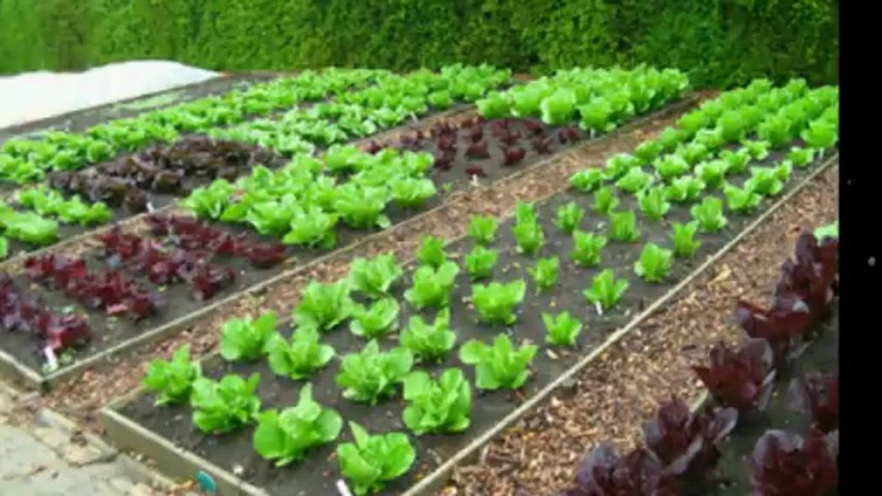 Petite Annonce Horticulture et jardinage usagé au Québec