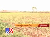 Tv9 Gujarat - Good rains gives a lift to cotton crop sowing , Surendranagar