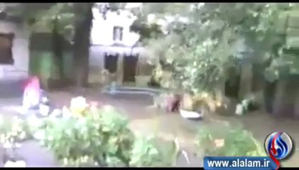 قط يتصنع الموت بإتقان .. حتى يهرب من الكلب