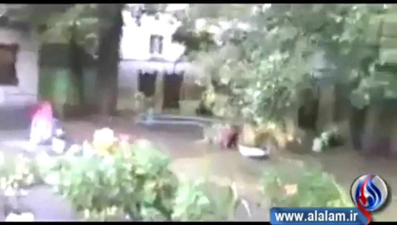قط يتصنع الموت بإتقان .. حتى يهرب من الكلب