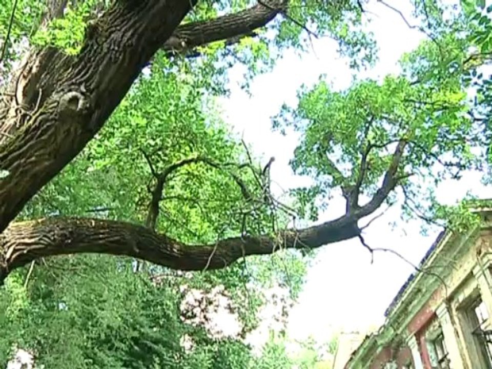 Спецкор - 19.07.2013