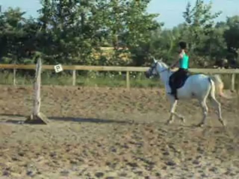 Séance de mise en selle 19/07/2013