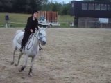 Cours de saut d'obstacle 21/06/2013