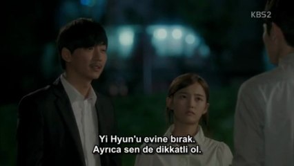 shark.e16.zeyra-001