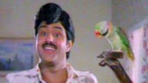 Nari Nari Naduma murari Movie Songs - Duttala unnave - Bala Krishna Sobhana