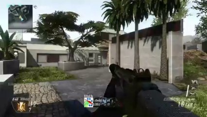 Black Ops 2 Team M1216 Silencer Gameplay - Crashed My Car