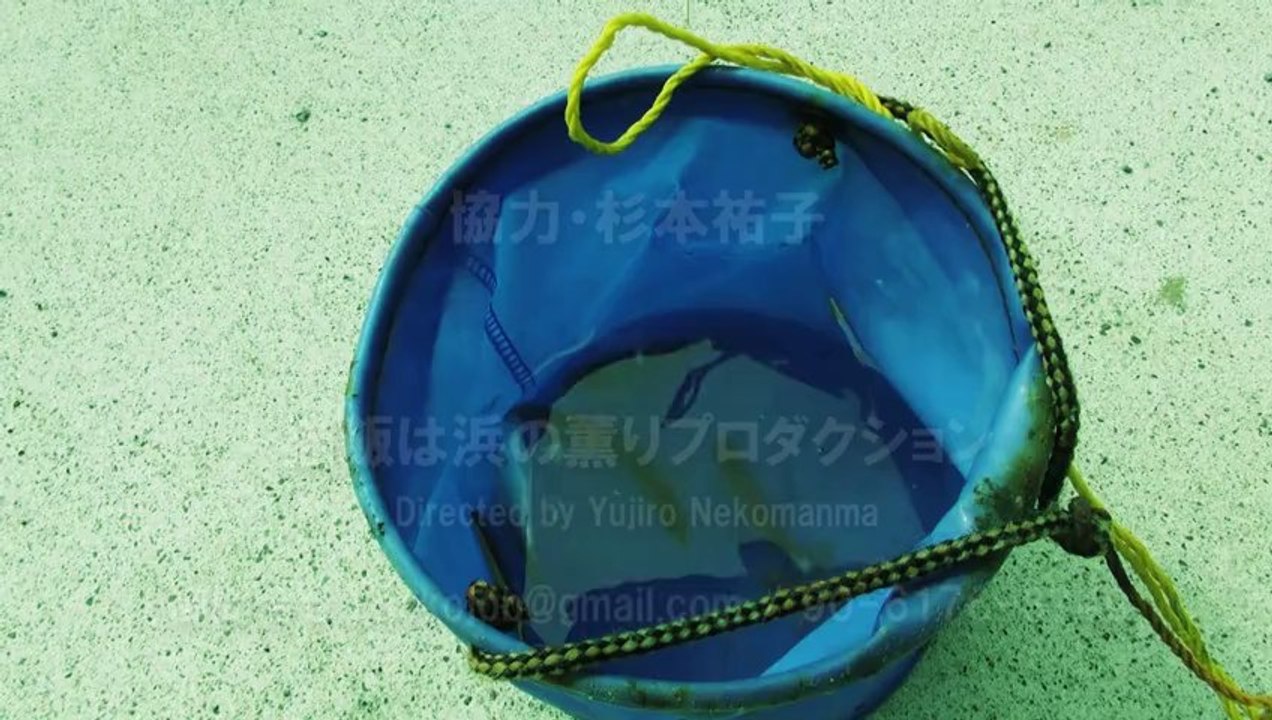 2013年の夏　この空間放射線量は低いんですか？　茨城県高萩市、北茨城市