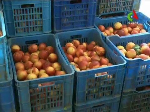 Visite à la wilaya de Blida du Dr Rachid Benaissa le 18 jui 2013