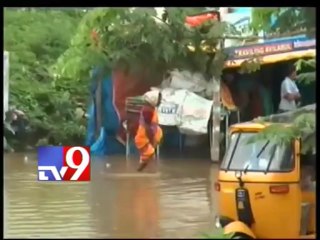 Godavari flood update from Bhadrachalam and Dhavaleswaram