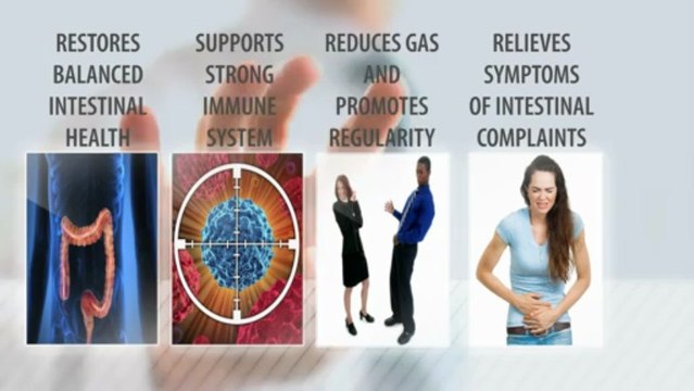 Probiotic Supplements - Your Number 1 Important Step To Gain Optimal Health - Video Training