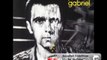 Peter Gabriel's Games Without Frontiers Cover Version by Vampyr Engel Dark Game Whispers Mix V1