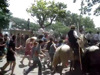 LUNEL  20-07-2013 042